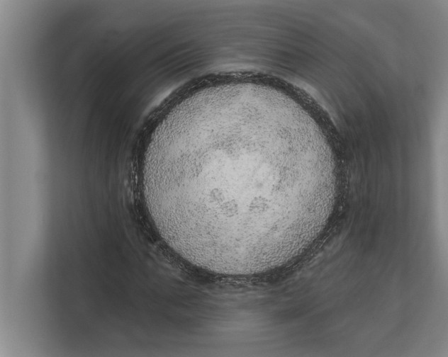 X0000111940871200908171255