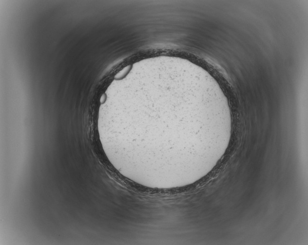 X0000111940872200908171255