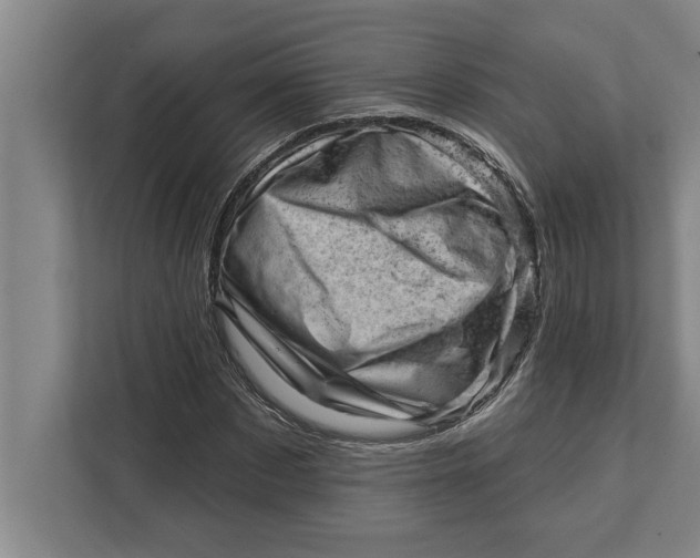 X0000111940873200908171255