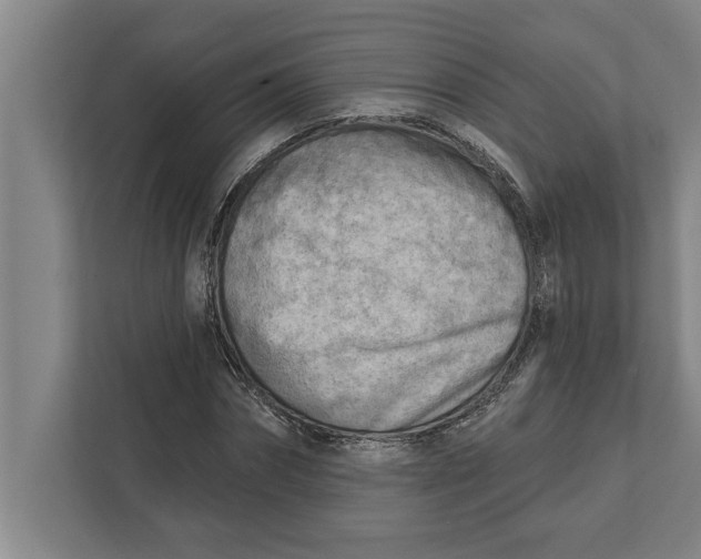 X0000111940874200908171255