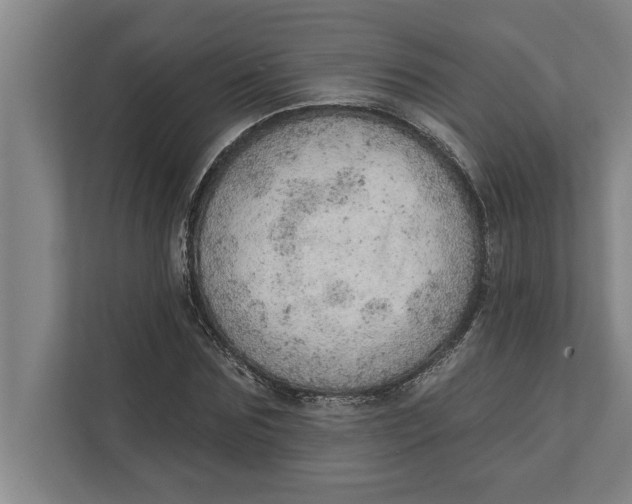 X0000111940875200908171255