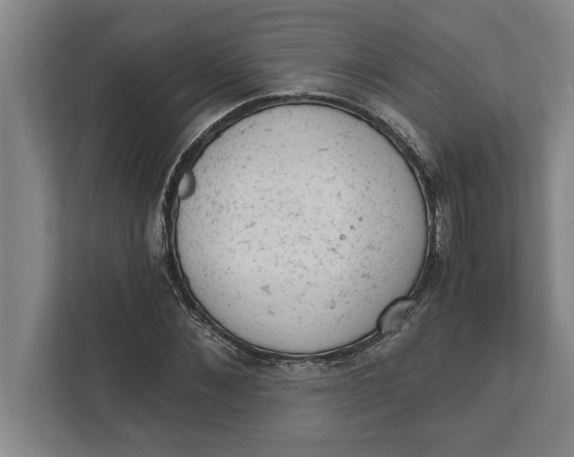 X0000111940876200908171255