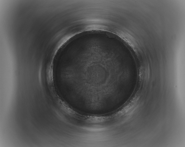 X0000111940877200908171255