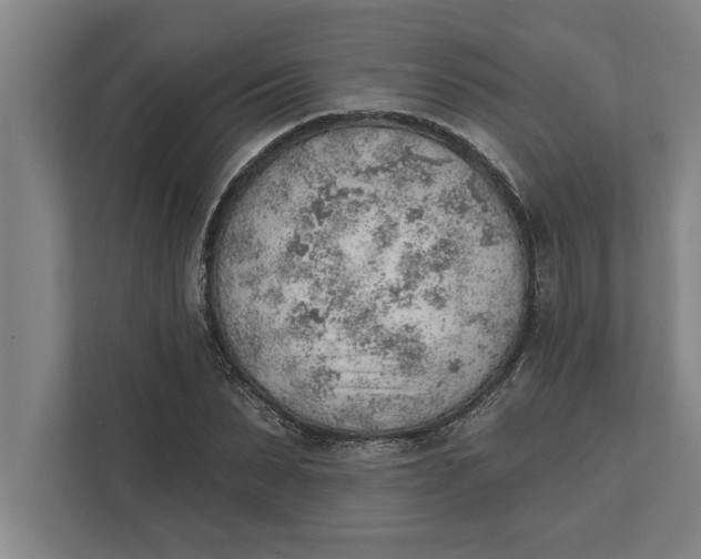 X0000111940879200908171255