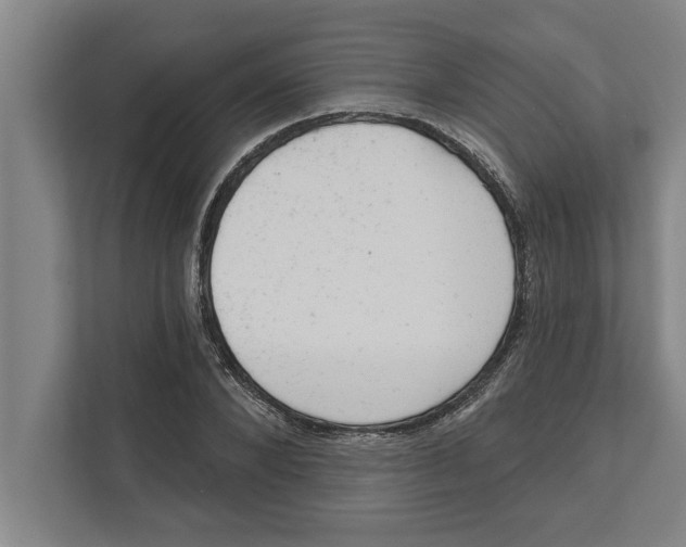 X0000111940880200908171255