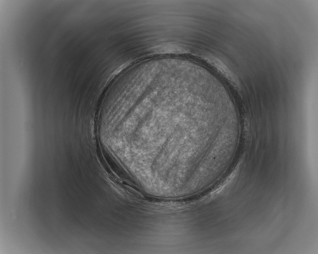 X0000111940881200908171255