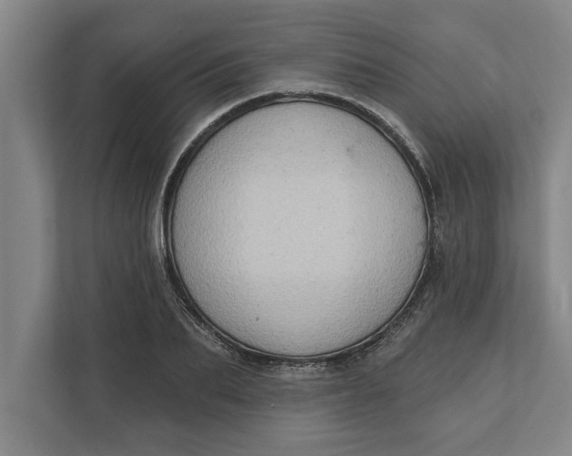 X0000111940887200908171255