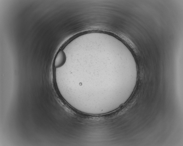 X0000111940888200908171255