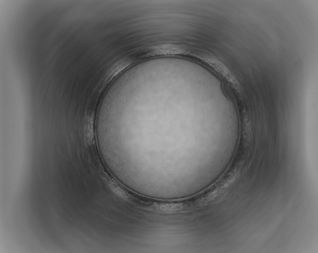 X0000111940889200908171255