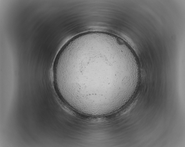 X0000111940891200908171254