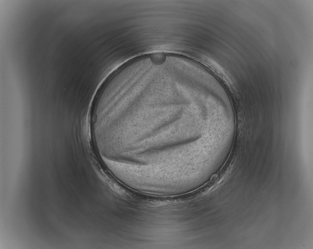 X0000111940892200908171254