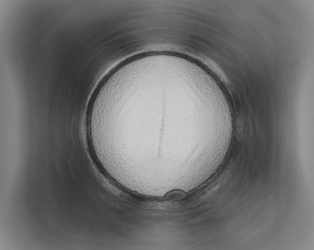 X0000111940895200908171254