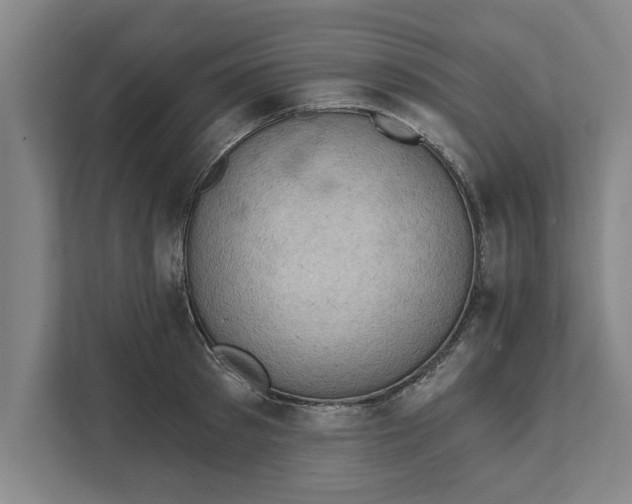 X0000111940897200908171254