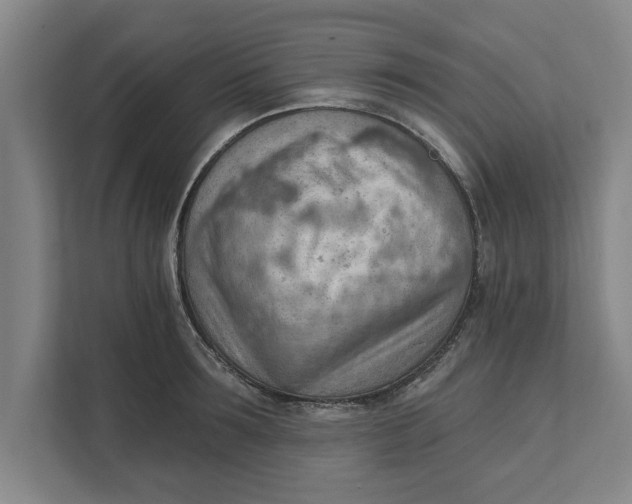 X0000111940899200908171254