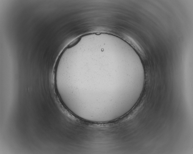 X0000111940900200908171254