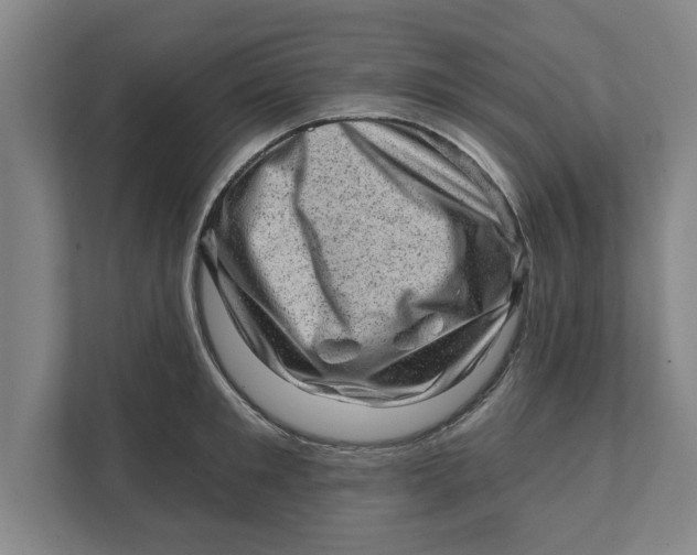 X0000111940901200908171254