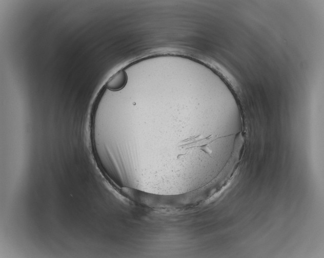 X0000111940902200908171254