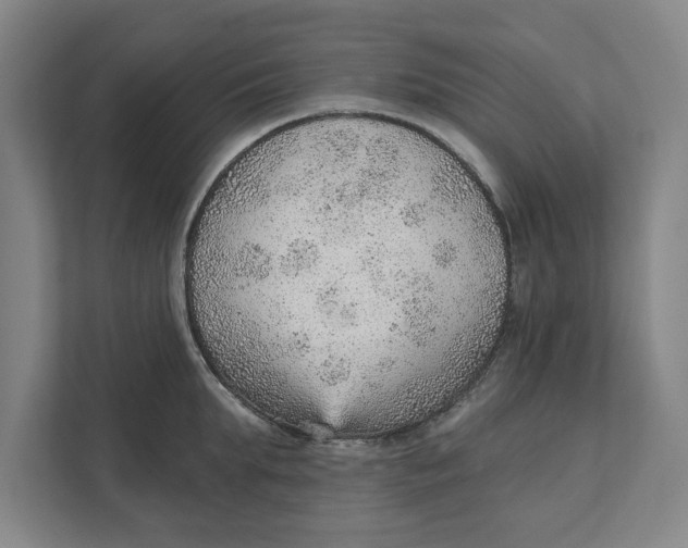 X0000111940903200908171254