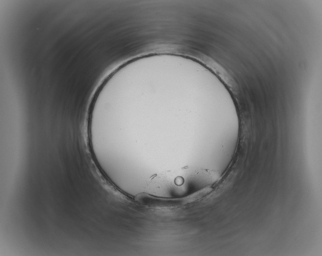 X0000111940904200908171254