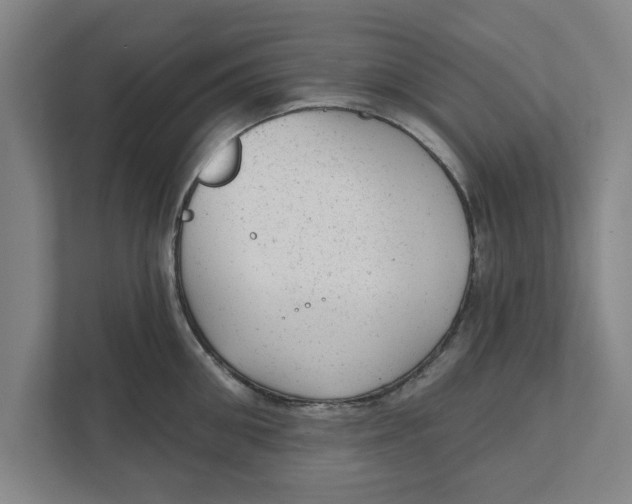 X0000111940906200908171254