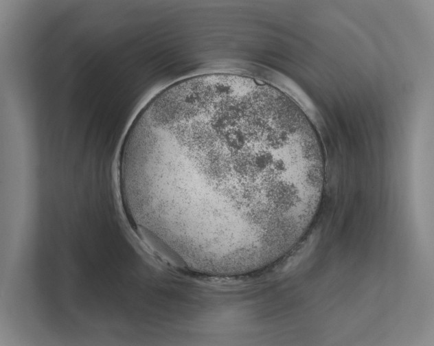 X0000111940907200908171254