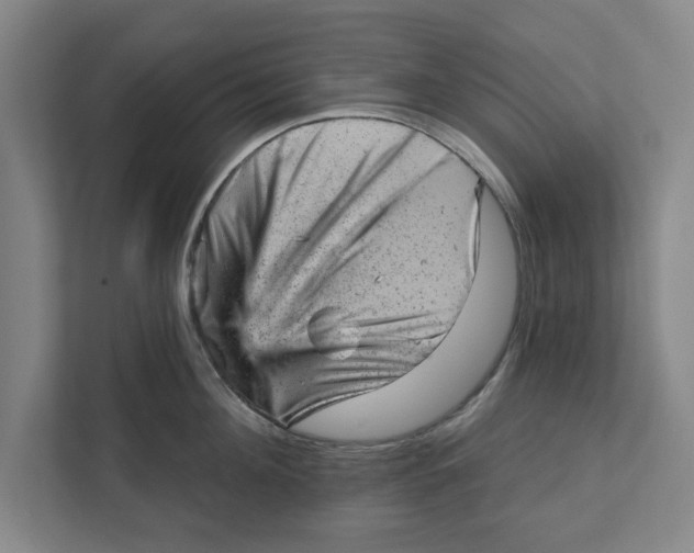 X0000111940908200908171254