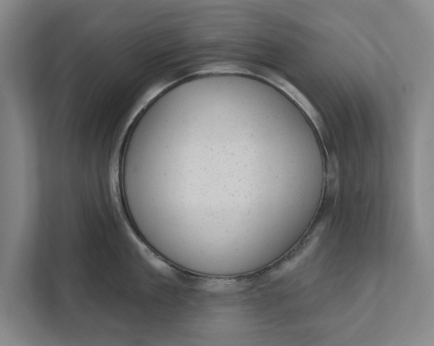 X0000111940909200908171254