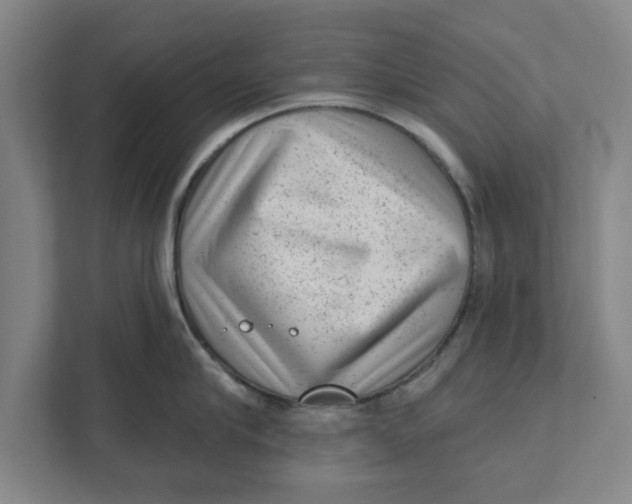 X0000111940910200908171254