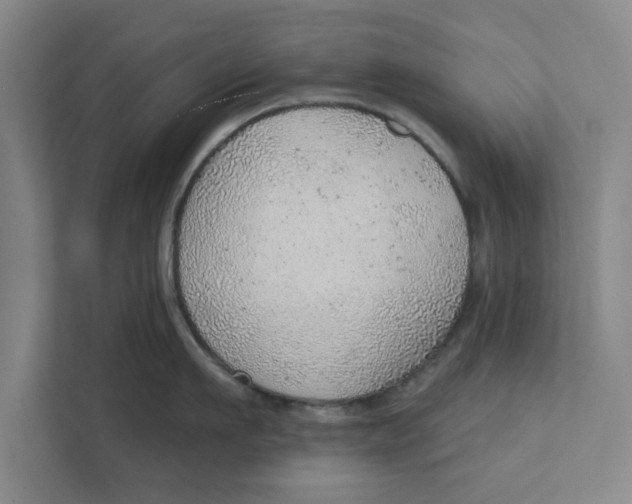 X0000111940911200908171254