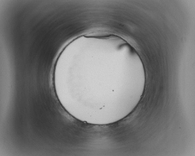 X0000111940912200908171254