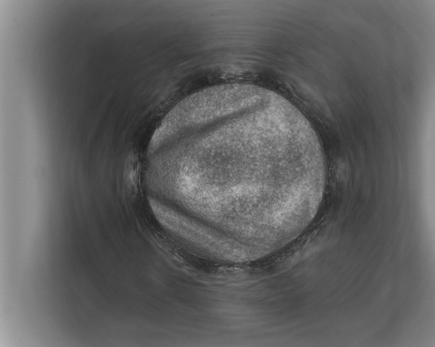 X0000111940914200908171254