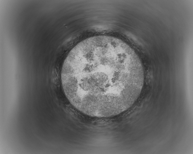 X0000111940917200908171254