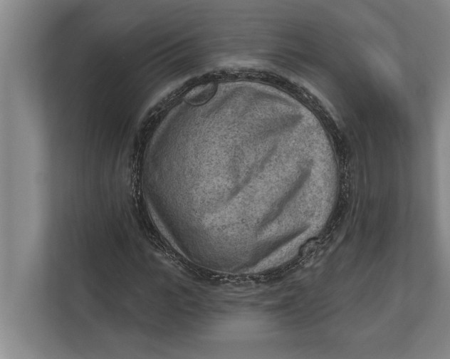 X0000111940919200908171254