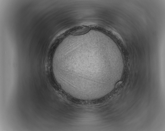 X0000111940920200908171254