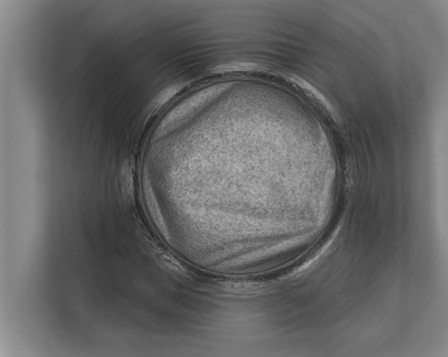 X0000111940921200908171254