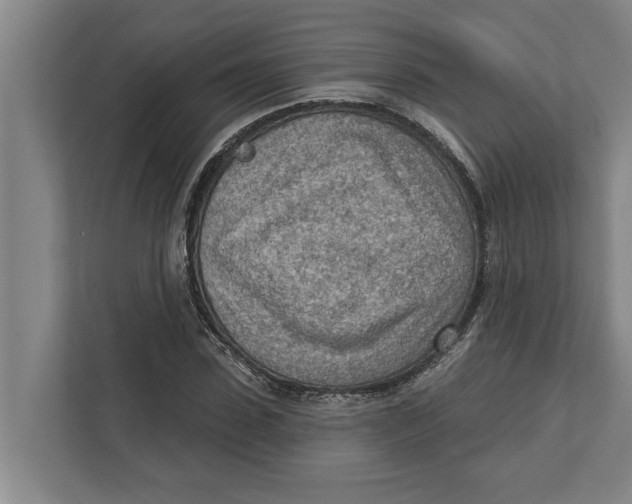 X0000111940923200908171254