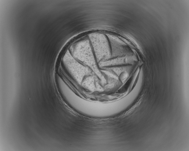 X0000111940924200908171254