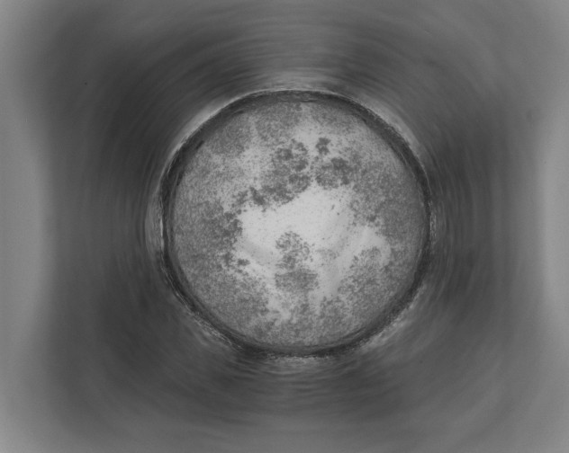 X0000111940925200908171254