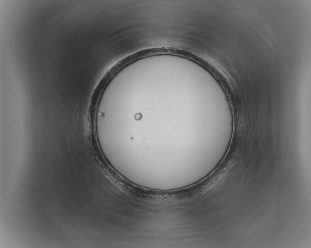 X0000111940927200908171254