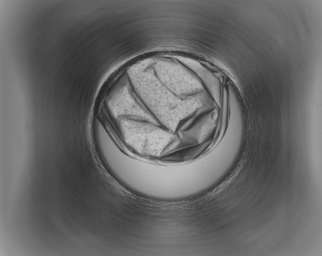 X0000111940928200908171254