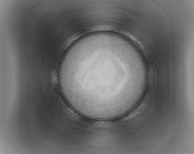 X0000111940929200908171254