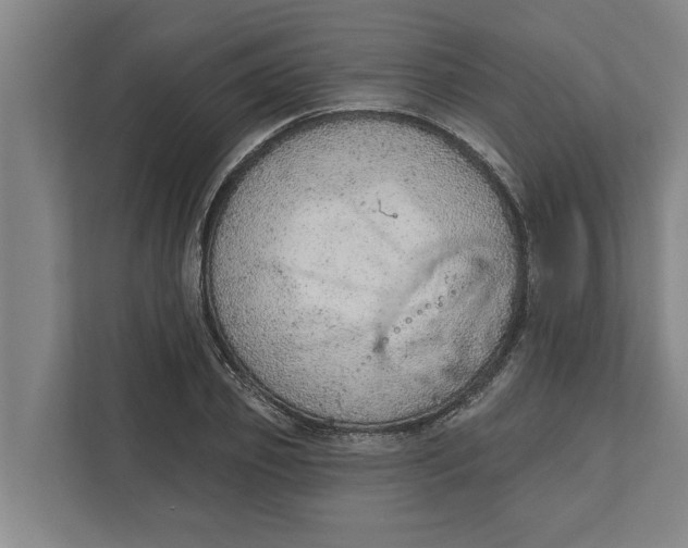 X0000111940933200908171254