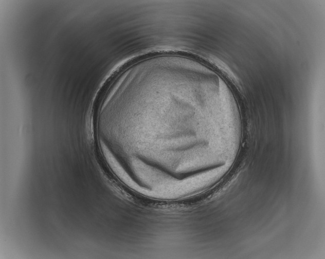 X0000111940934200908171254