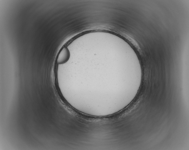 X0000111940936200908171254