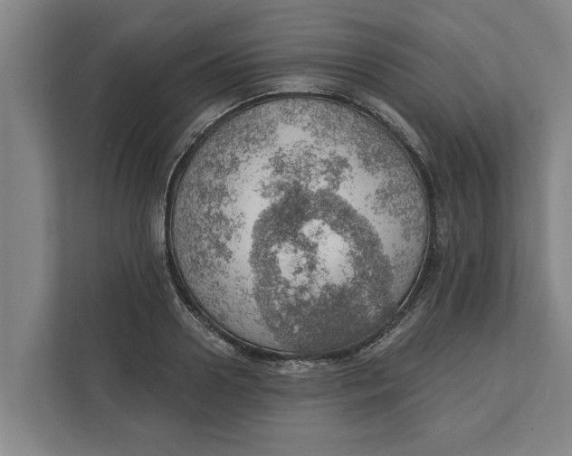 X0000111940938200908171254