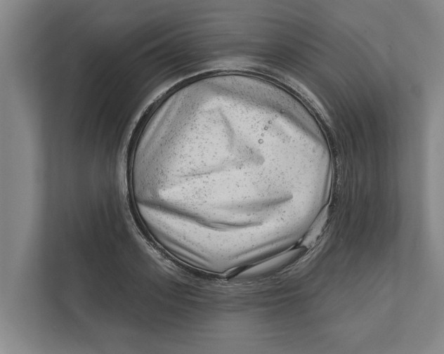 X0000111940939200908171254