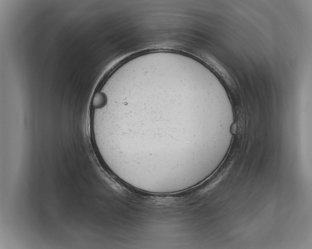 X0000111940940200908171254