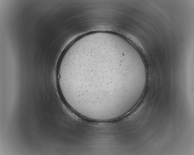 X0000111940942200908171254