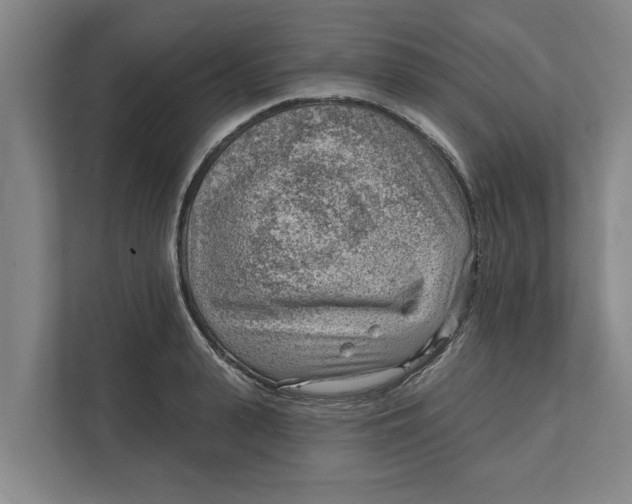 X0000111940943200908171254