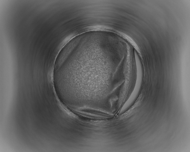 X0000111940946200908171254